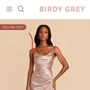 Birdy Grey- Lydia Dress Taupe Shiny Satin